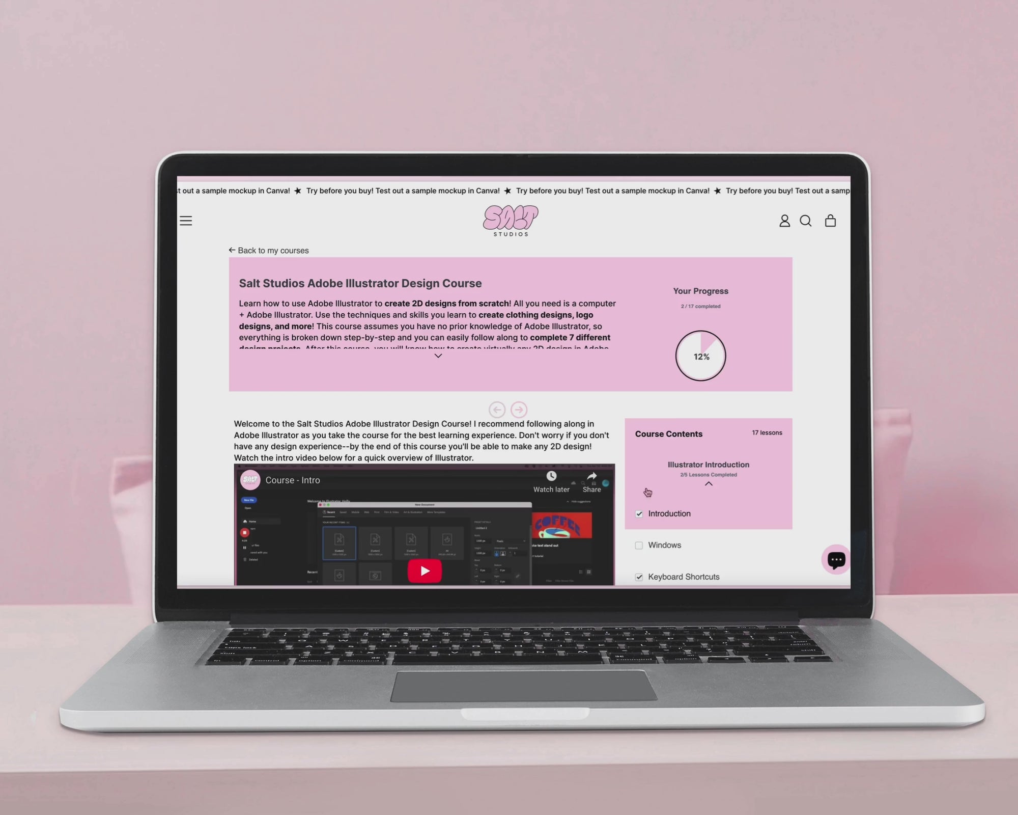 A short video showing the contents of the Adobe Illustrator Design Course